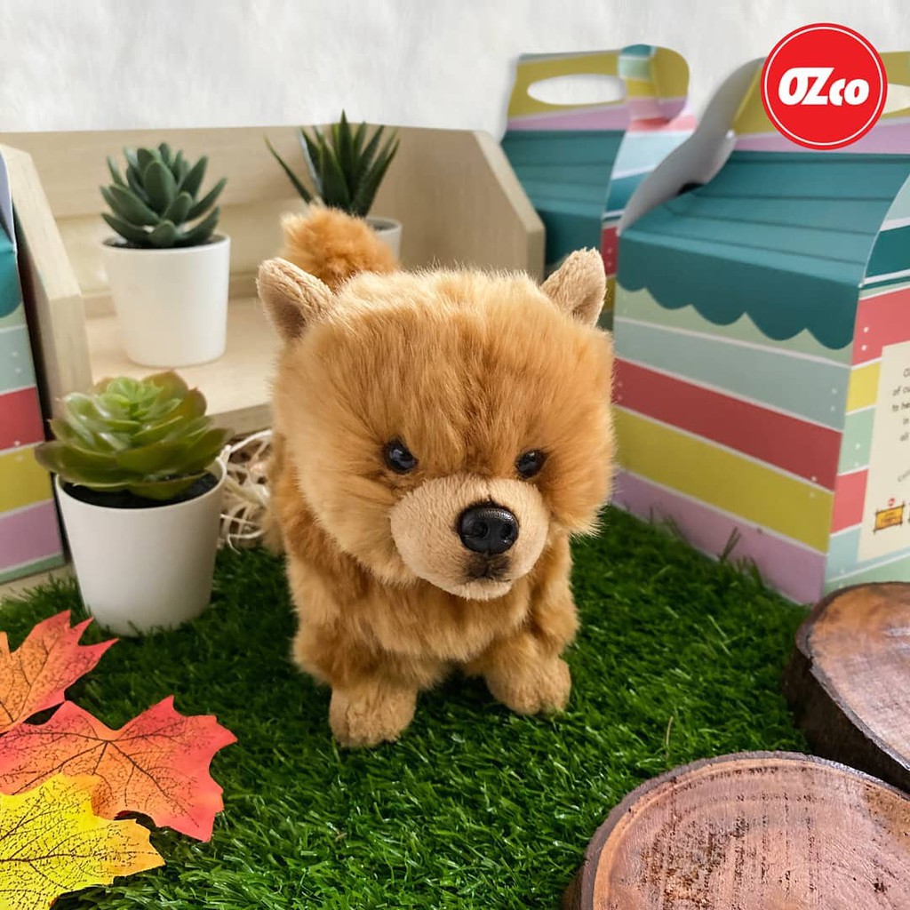 Boneka Hewan Anjing Chow Chow Original OZco SOZ099