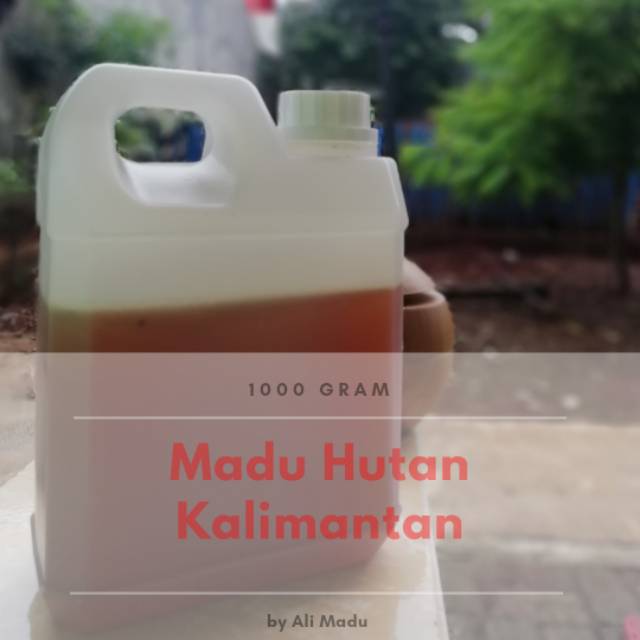 

MADU HUTAN KALIMANTAN MURNI 100% 1KG