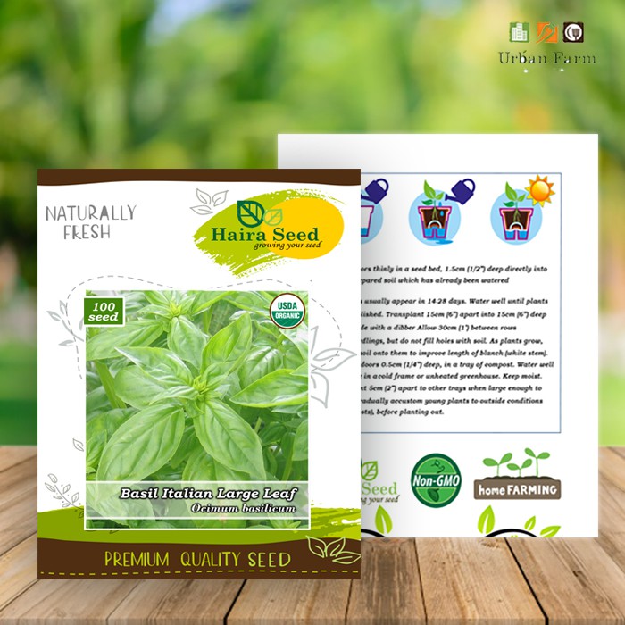 Benih-Bibit Basil Italian Large Leaf Organik (Haira Seed)