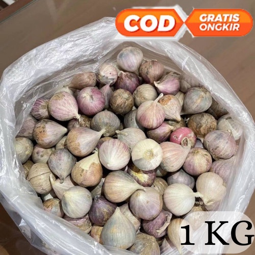 Bawang Putih Tunggal Lanang Jamin Bagus dan Fresh