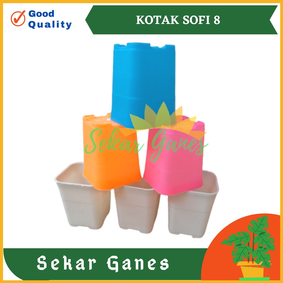 POT KOTAK SOFI 8 CM PUTIH PINK HIJAU BIRU - POT CACTUS KATUS tosca SANSE SEKULEN Mini KAKTUS 8CM.