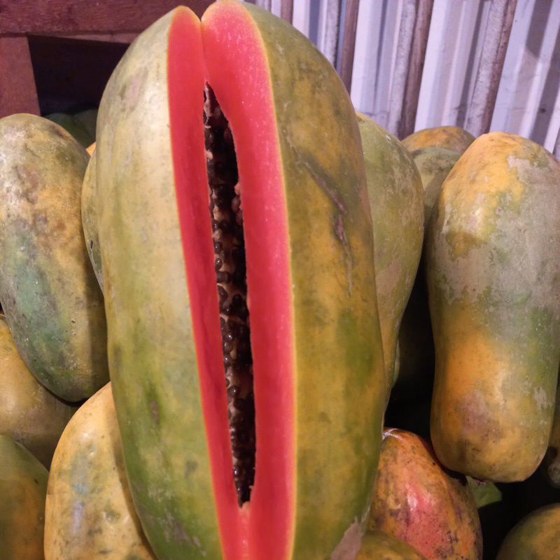 

pepayak super california