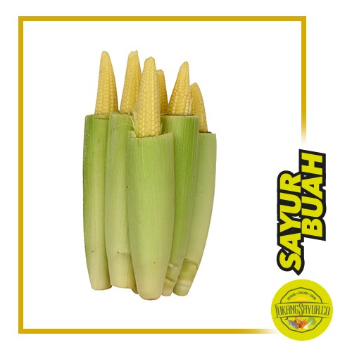 

Jagung Muda - 250 gr