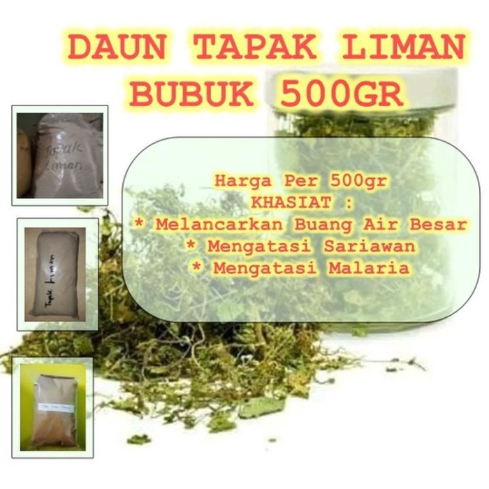 

Daun Tapak Liman Bubuk Serbuk Murni 500 gr (1/2 kg Kwalitas Terjamin Mengatasi Diare