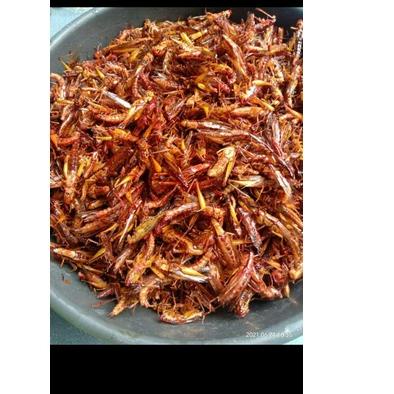 

11.11 FLASH SALE belalang goreng gurih