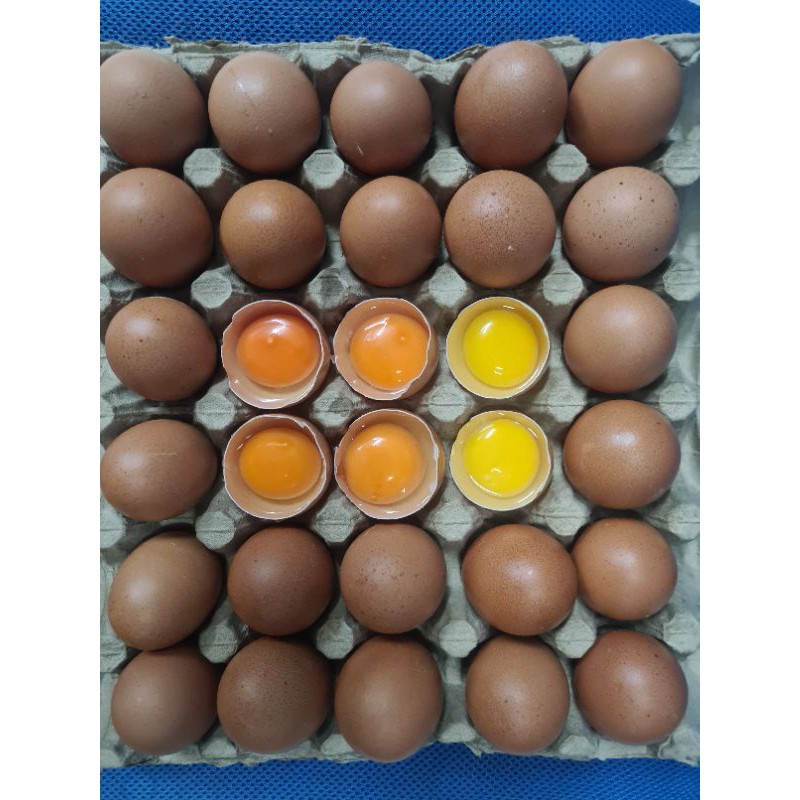 

RB Telur Ayam Omega 3 Premium Fresh Per Kg Nutrisi Tinggi