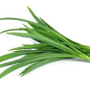 

NEW Daun pandan segar alami Rp.500 perhelai - 6 pcs