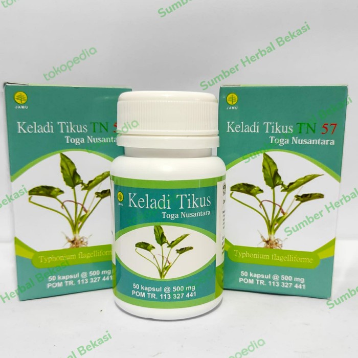 

Kapsul Keladi Tikus TN57 50 Kapsul - Herbal Kanker dan Tumor