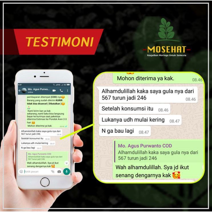 MOSEHAT Obat Diabetes Original Herbal Hernia Vertigo Asma Prostat Obat Herbal MOSEHAT-4