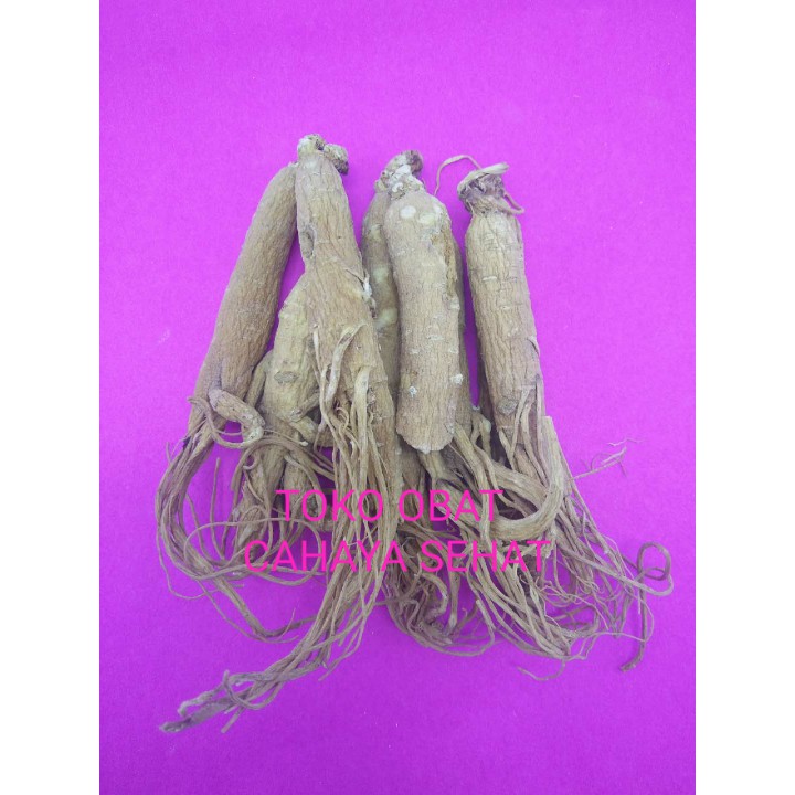 OBAT HERBAL GINSENG AMERIKA/YIU SIM/HUA QI SEN(STAMINA,NAFSU MAKAN)37g