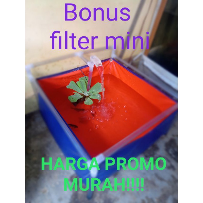 kolam mini portable (terpal,rangka,pompa dan bonus filter kecil)