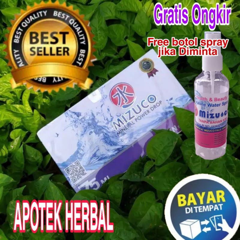 MIZUCO obat maag kanker diabetes jantung kolesterol dan asam urat