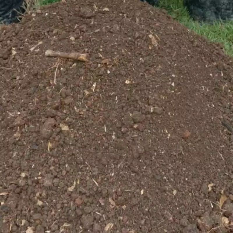 Media Tanam Tanah Humus Bambu 1Kg Subur