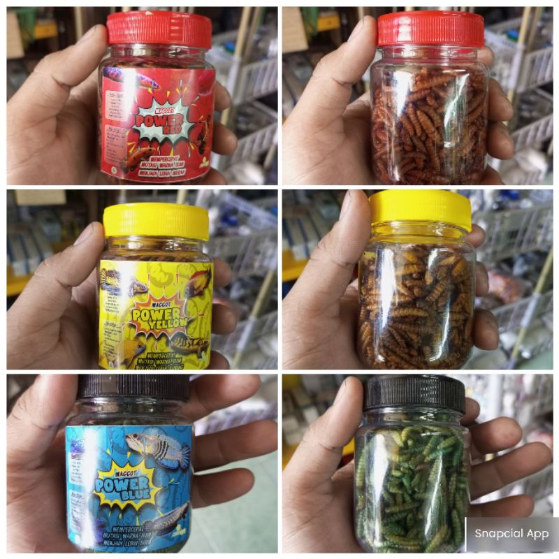 Maggot Power Red,Yellow,Blue 45gr/pelet power yellow,black,blue,red/paket maggot-pelet