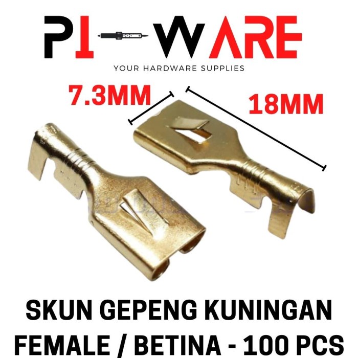 Skun Gepeng 100 Pcs Kuningan Female Betina Ukura 6mm Besar Motor Mobil