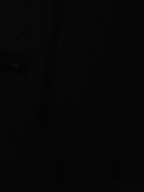 Dp-1 Pengki Serok Sampah Beta Lion Star