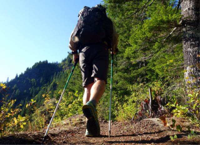 Tracking pole TONGKAT PENDAKI trekking pole KOMPAS