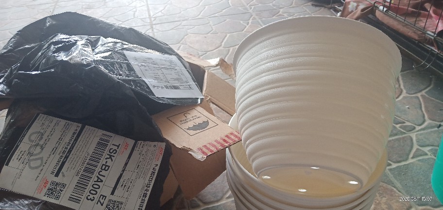 Pot Tawon Tirus 21 Cm