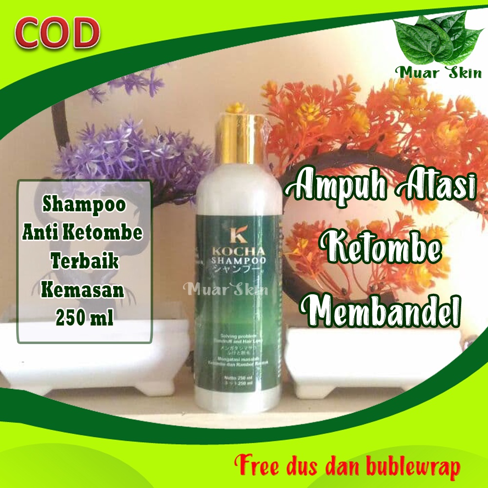 Jual sampo ketombe parah berkerak ampuh pria sampo anti ketombe dan