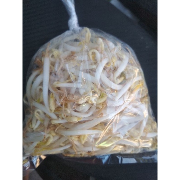 

toge dijamin segar per 250gram