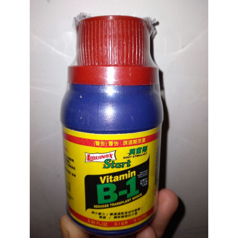 vitamin B1 Asli thailand