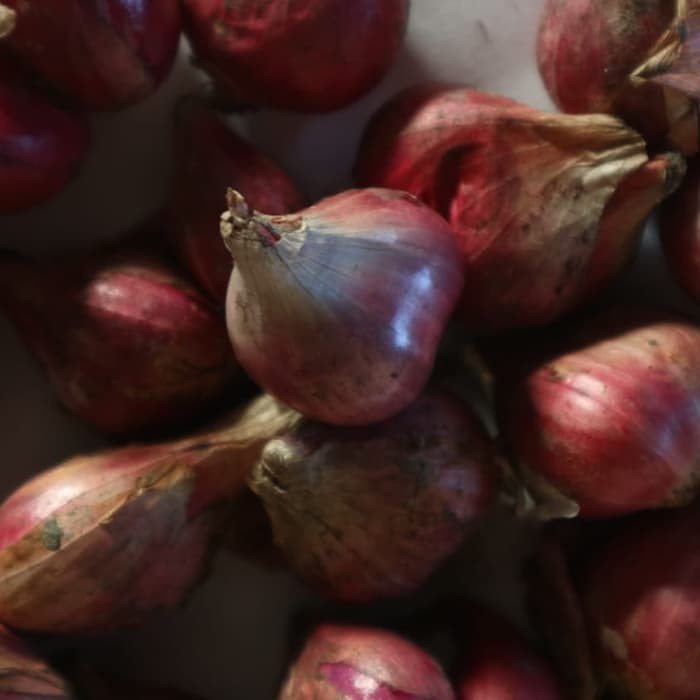 

Bawang Merah 1kg | Bumbu | Bawang