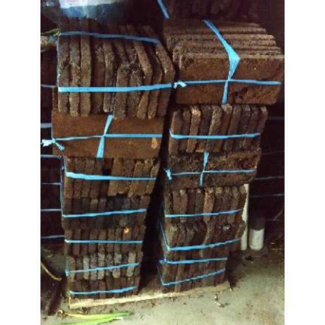 Media Anggrek Papan Pakis