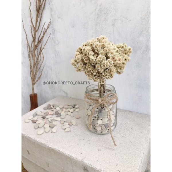 EDELWEISS + VAS KACA JAR + BATUAN HIAS  (1 SET) BUNGA KERING DRIED FLOWER