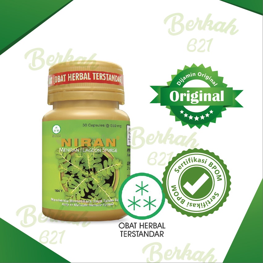 Jual Niran 30 Kapsul - Meningkatkan Daya Tahan Tubuh - Borobudur Herbal ...