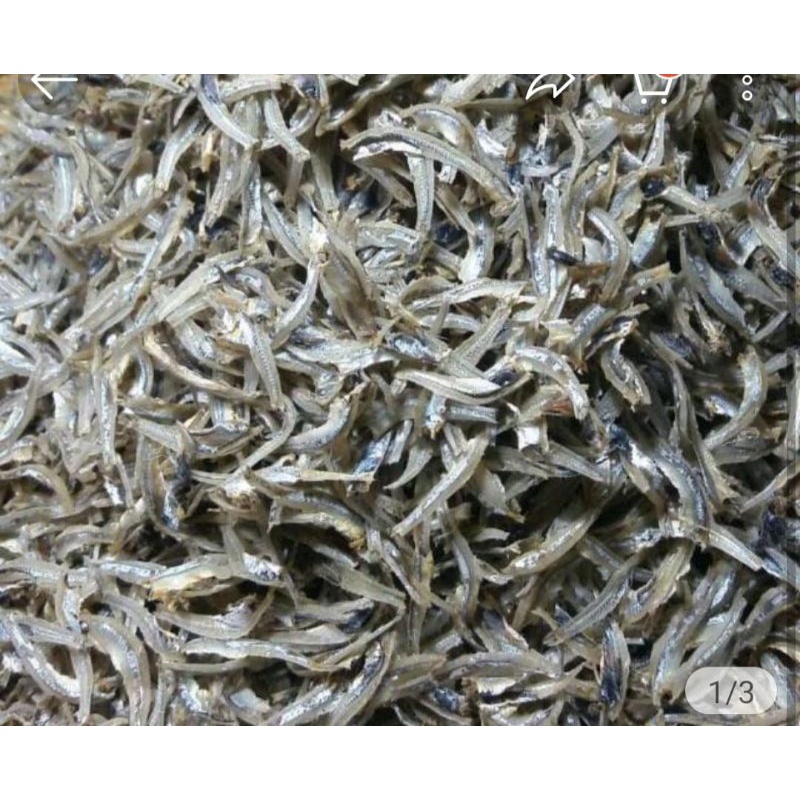 

ikan terri kering