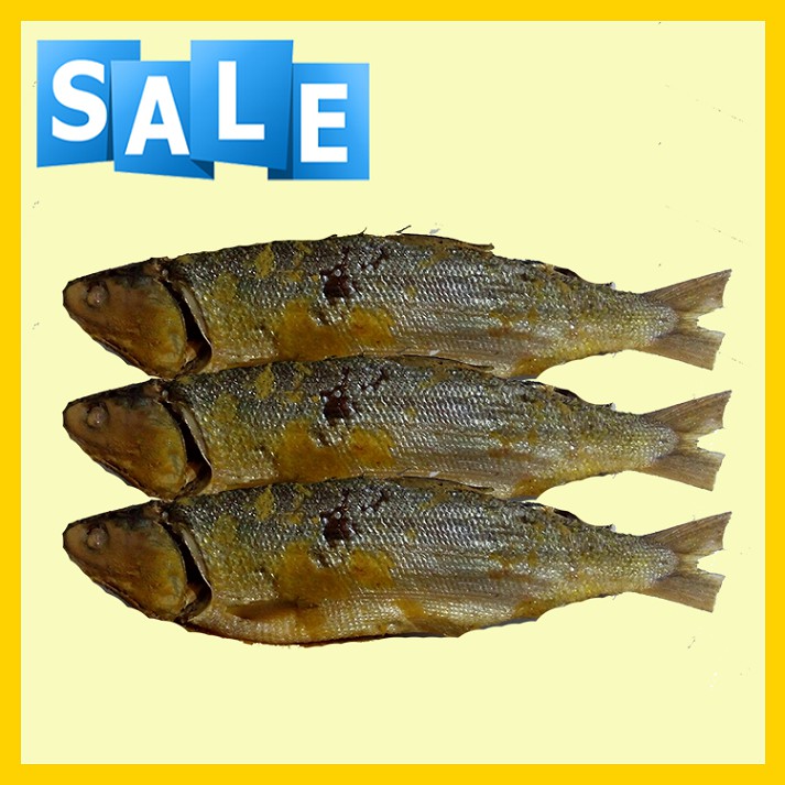 

Ikan Bandeng Presto