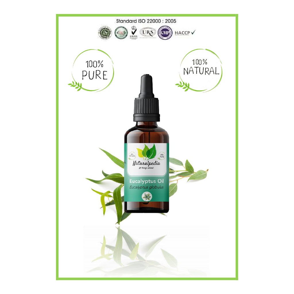 Pure Eucalyptus Essential Oil / MInyak Esensial Atsiri Eucaliptus Eukaliptus Murni 30ml