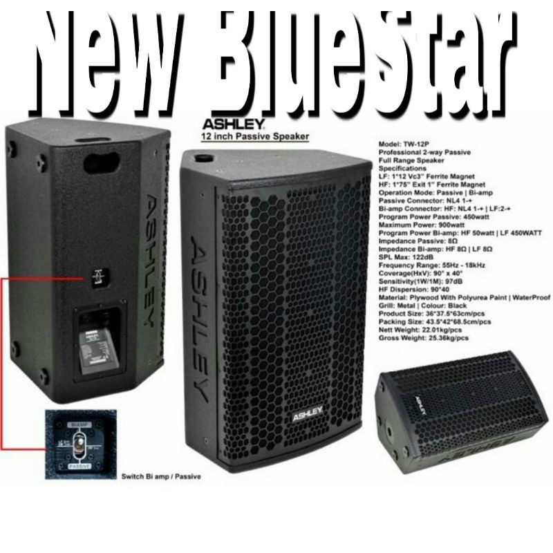 Speaker-Salon Pasif Ashley TW 12P Original Passive TW12P - 12 inch