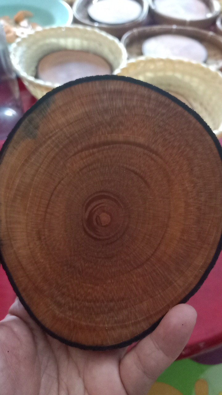 Dekornata Wooden Slice 10-14 Cm / Wood Slice/ Potongan Kayu Decor/alas Cangkir / Dekornata