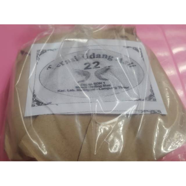 TERASI UDANG ASLI LABUHAN MARINGGAI LAMPUNG