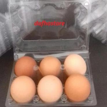 

MURAH Mika Telur / Egg Tray / Tray Telur Isi 6 Butir Sudah ada Pengunci. gdaf697