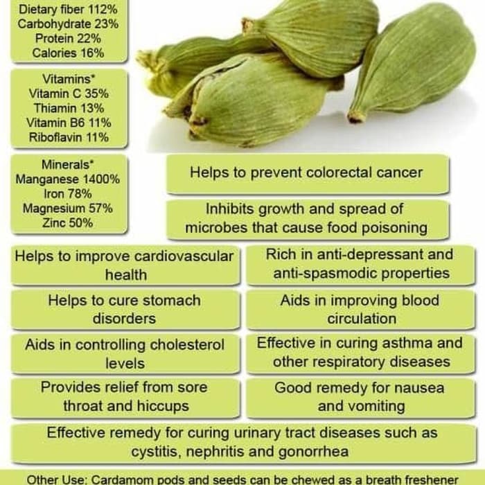 

Roxx.ea - .ea - .ea - India Green Cardamom 50Gram / Green Cardamon / Kapulaga Hijau 50Gram