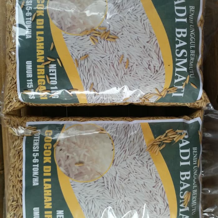 Jual Benih Padi Basmati Neto Kg Shopee Indonesia