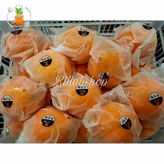 

Jeruk Navel Keranjang | Jeruk Potong Manis 14 kg