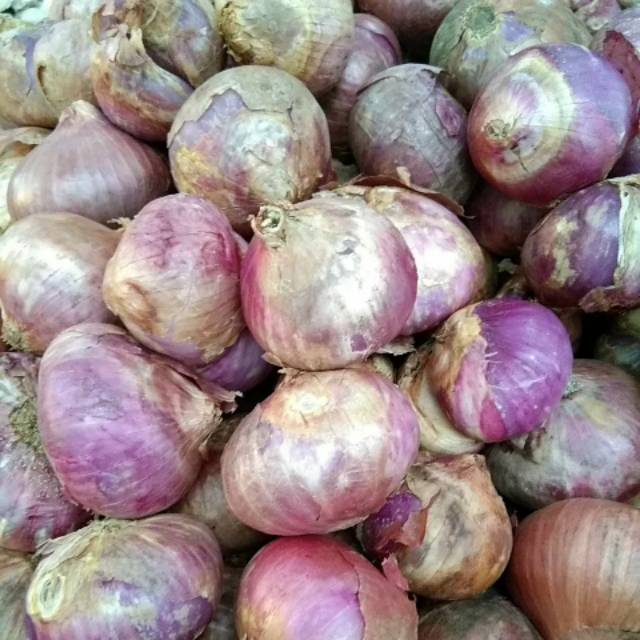 

Bawang Merah Jumbo 1kg