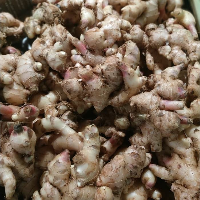 

Jahe fresh lokal 300 gram.