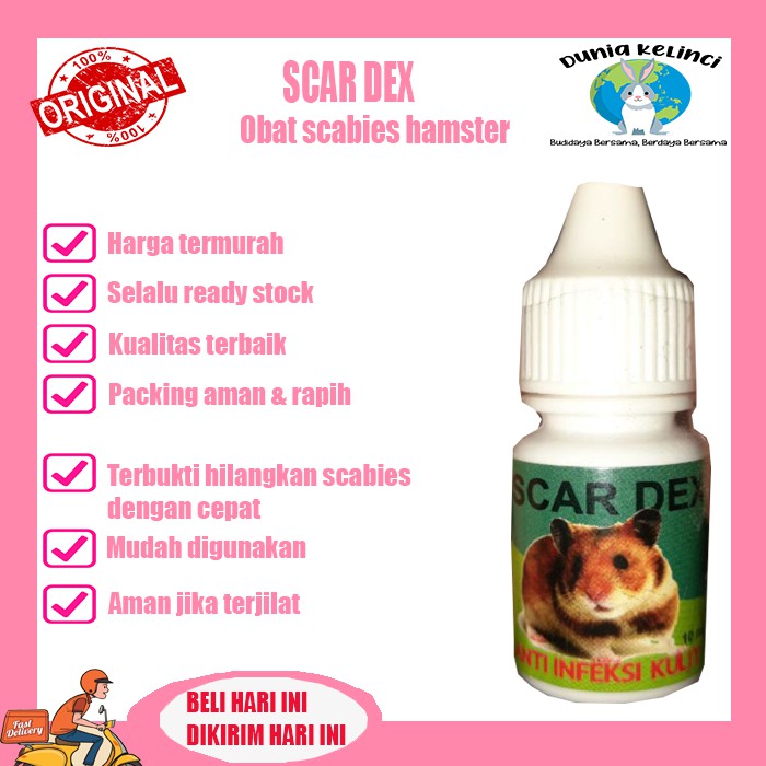 OBAT SCABIES HAMSTER SCARDEX GUDIK INFEKSI KULIT