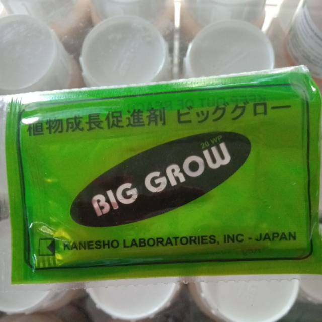 Big grow pembesar buah