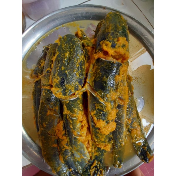 

lele siap goreng