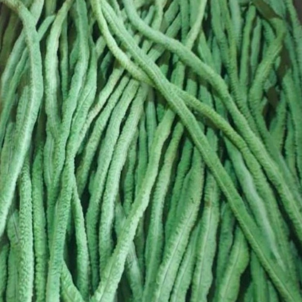 

kacang panjang Kalimantan 250 gram