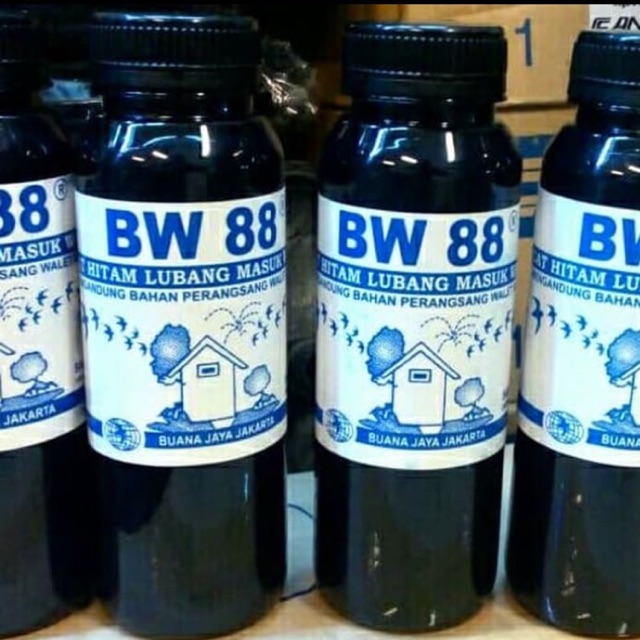 BW 88 Cat Hitam lubang masuk rumah walet