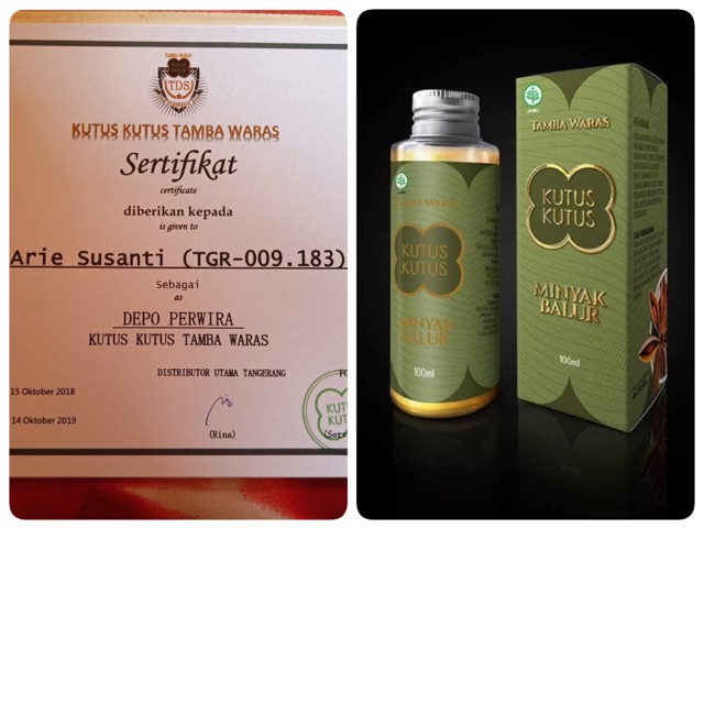 TERAPI SAKIT PINGGANG DENGAN MINYAK KUTUS KUTUS