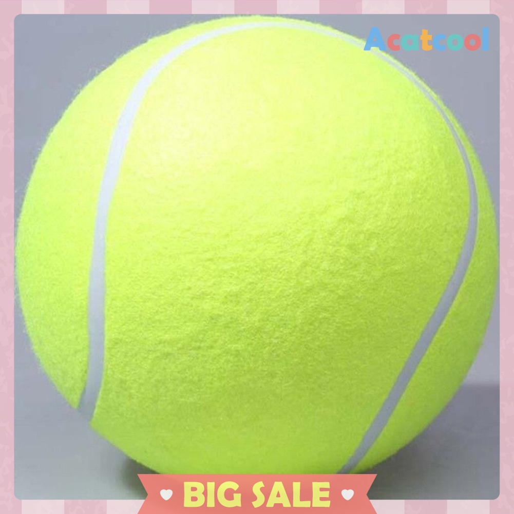 9.5' Big Giant Pet Dog Puppy Tennis Ball Thrower Chucker Launcher Play Toy