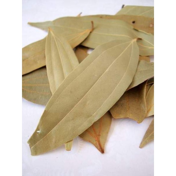 

BAYLEAF daun salam india import 10gr