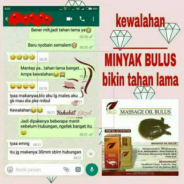 Massage Oil Bulus SR12 / Minyak Bulus Herbal /minyak bulus sr12/mengencangkan payudara/glowing